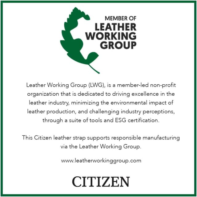 Detalle de Citizen Men’s Eco-Drive 3-Hand Date Avion Watch (AW1361:10H) with Leather Strap