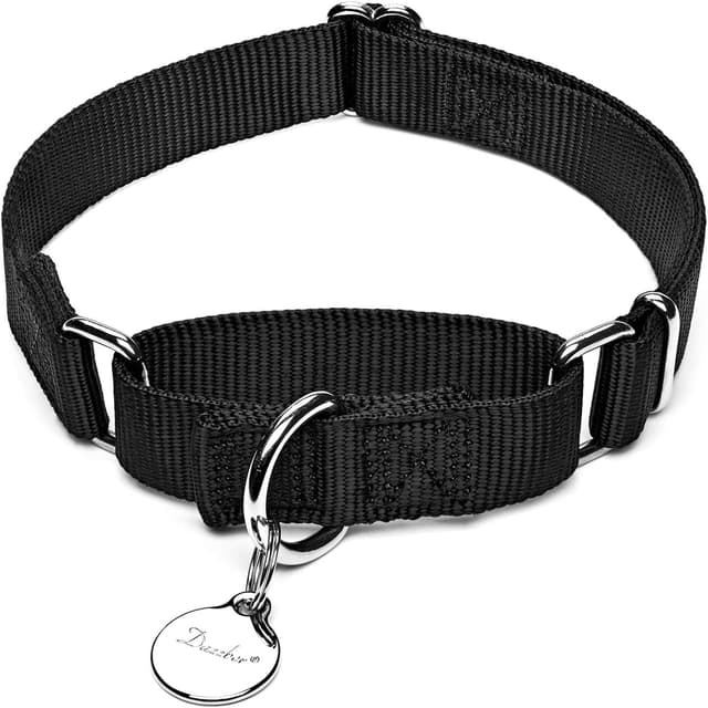 Thumbnail 4 de Dazzber Martingale Dog Collar 43-64 cm