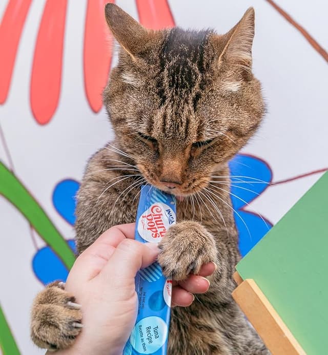 Thumbnail 6 de CHURU Cat Pops Receta DE ATUN con Pollo 12x60 g