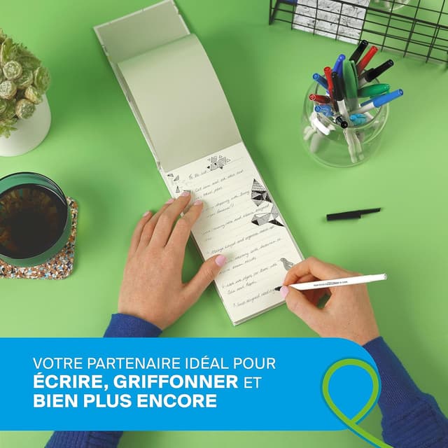 Detalle 2 de PAPER MATE Kilometrico 1,0 mm stylos bille đź–Š