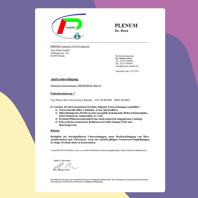 Thumbnail 5 de TRUE NATURE Bio Cistus Incanus – 1500 mg hochdosierte Zistrose pro Tag, 270 Kapseln (vegan)