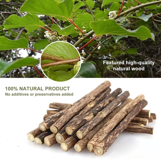 Detalle 2 de SeaMorn Matatabi Silvervine Kausticks (30 Stück) – Katzenminze-Spielzeug für Zahnpflege & gegen Mundgeruch