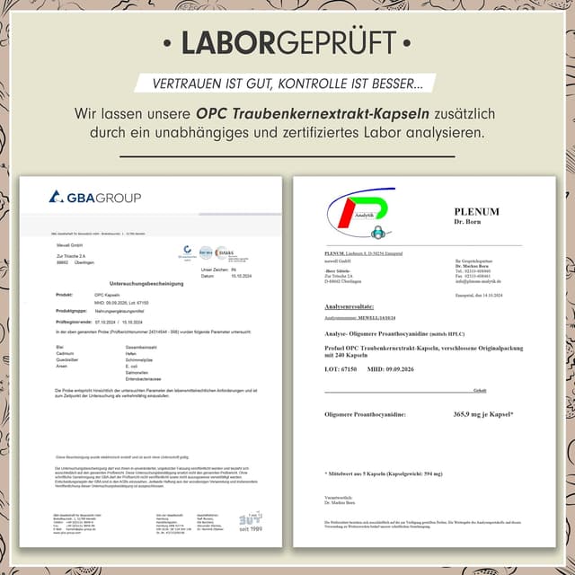 Thumbnail 4 de OPC Traubenkernextrakt 240 Kapseln — 75% OPC