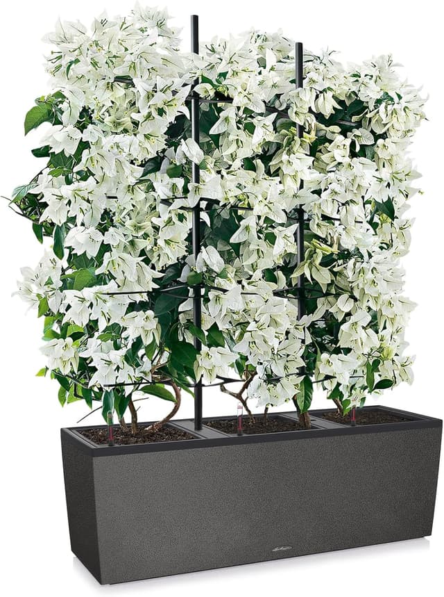 Thumbnail 1 de LECHUZA TRIO Stone 30 graphit schwarz