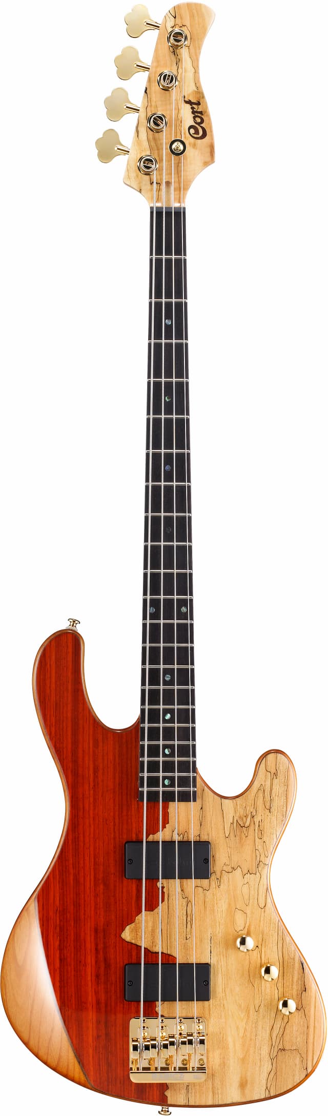 Detalle de CORT Jb Rithimic bajo eléctrico de 4 cuerdas 🎸