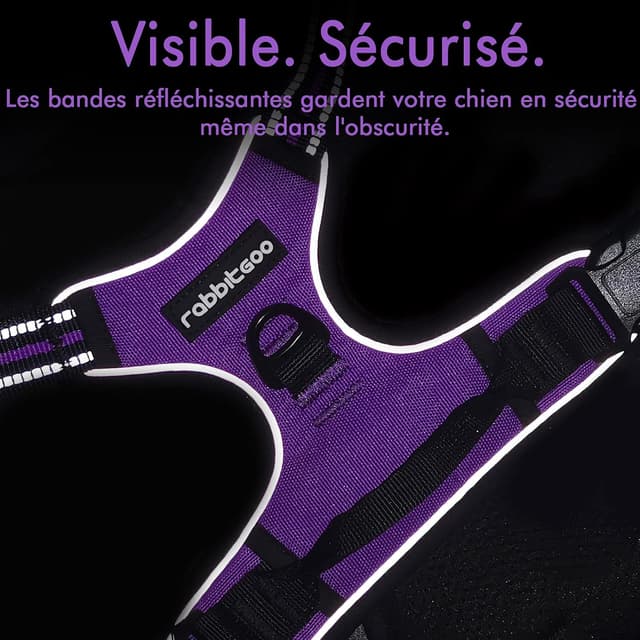 Thumbnail 6 de rabbitgoo Harnais Chien Anti Traction Violet XS
