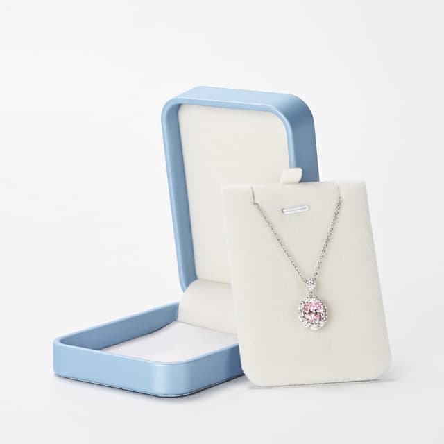 Detalle 2 de Papten Collar Organizador de Joyería 💙 Caja de Regalo