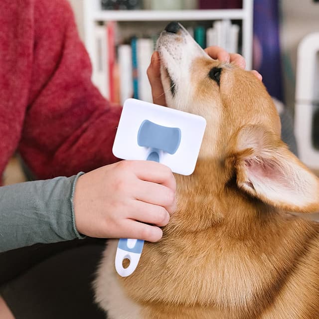 Thumbnail 6 de Vinabo Selbstreinigende Katzenbürste Blau