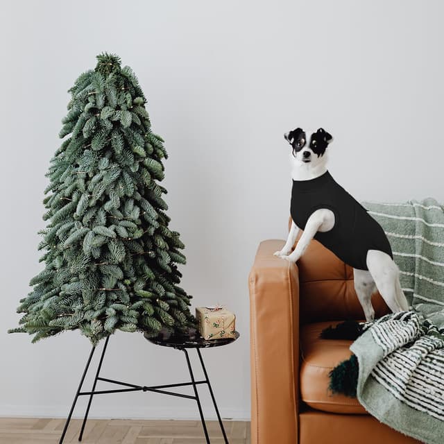 Detalle 2 de Kuoser Dog Surgery Recovery Suit (Black XL) – post-op recovery onesie alternative to a cone