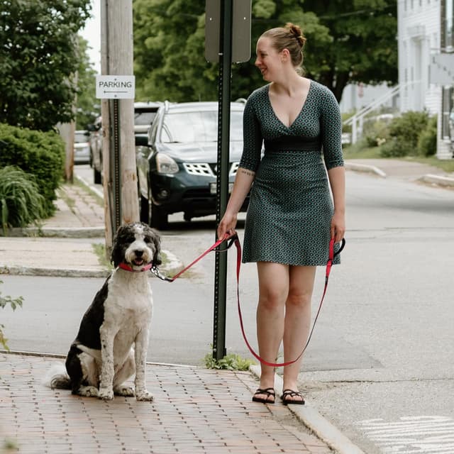 Detalle de Fida Heavy Duty dog lead 1.5m traffic handle