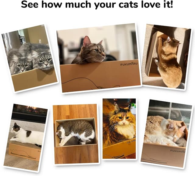 Thumbnail 5 de FUKUMARU Kratzbrett 43,5×29,5×14 cm 🐱