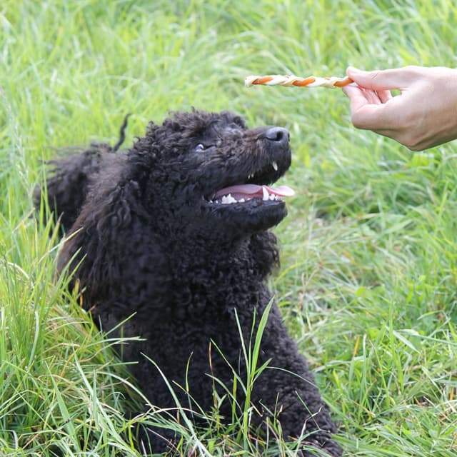 Thumbnail 4 de 8in1 Delights Chewy Braids XS/S 75 g