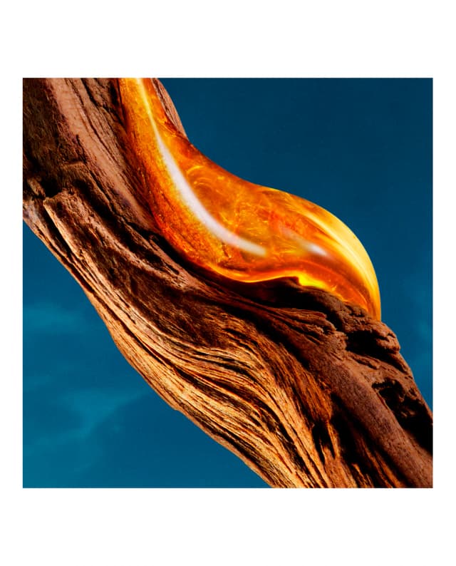 Thumbnail 5 de Hugo Boss - Eau de Parfum BOSS Bottled Bold 🍊 Aromas Vibrantes