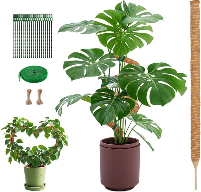 Imagen de Heavy-Duty Moss Pole 120cm Monstera Support en OfertitasTOP