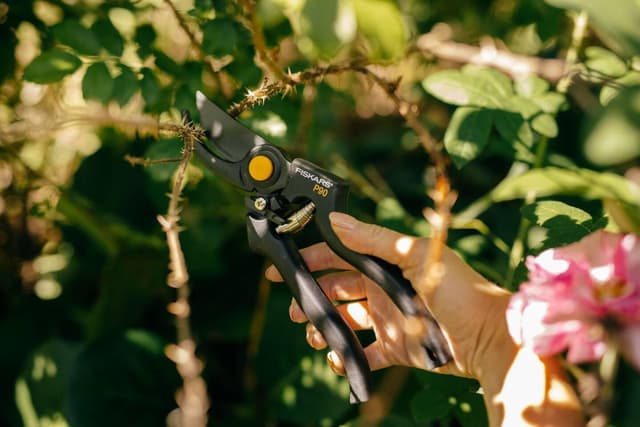 Thumbnail 4 de Fiskars P90 Tijeras de podar Bypass 🌿 Corte preciso y fácil