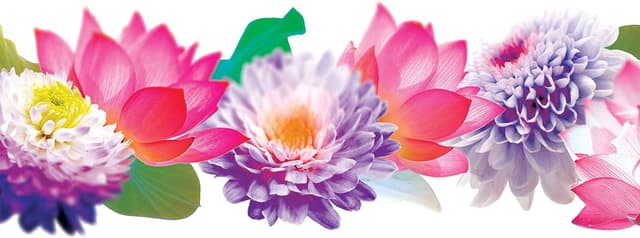 Detalle 2 de Tervis 16 oz Floral Plastic Tumbler with Purple Lid (Transparent)