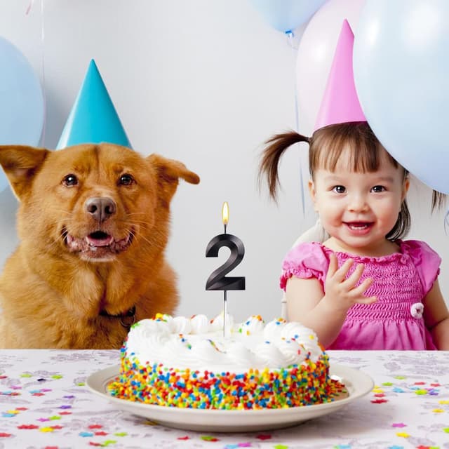 Thumbnail 6 de Yiran 3D Number 12 Birthday Candles 🎂