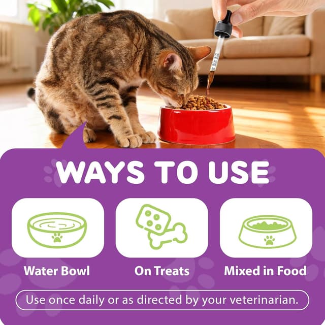 Detalle 2 de L-Lysin Tropfen für Katzen gegen Katzenschnupfen – Unterstützung bei Schnupfen, Niesen & Immunsystem