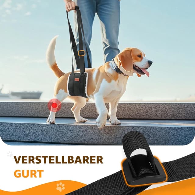 Detalle 2 de Verstellbare Hunde Tragehilfe für Gehhilfe