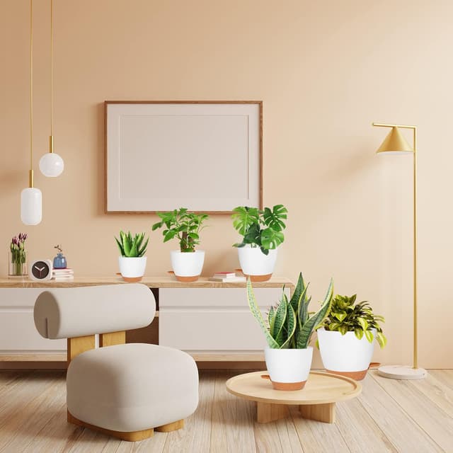 Thumbnail 5 de CSYY Plant Pots Indoor 7-Pack