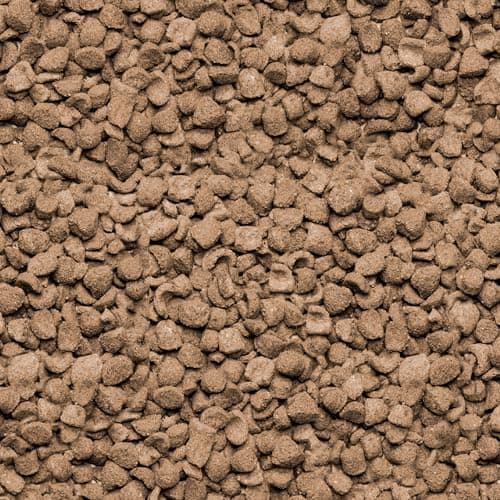 Thumbnail 2 de Beaphar Care+ Pienso Cobayas 5kg 🐹 Comida Completa Fibra