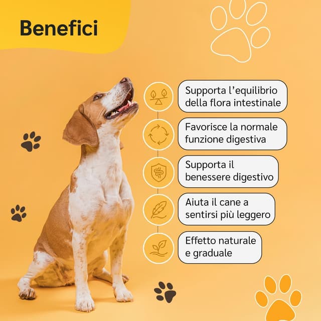 Detalle de amusi Probiotici per Cani da 30 compresse con fermenti lattici e inulina