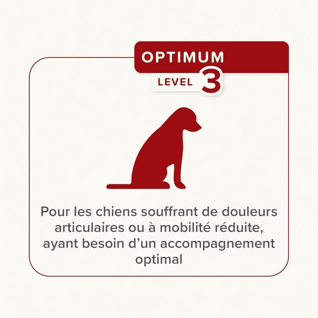 Detalle 2 de Beaphar Flexifit – Bouchées Articulations pour chiens (niveau 3, 175 g)