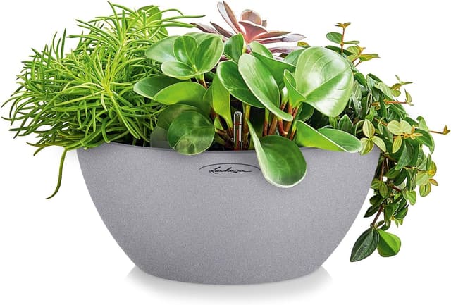 Detalle 2 de Lechuza CUBETO Color 30 Komplettset steingrau