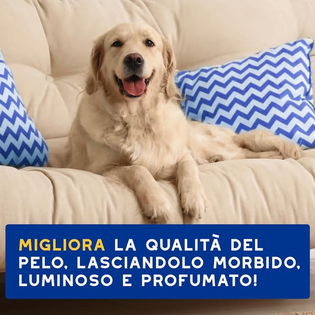 Thumbnail 6 de DOUXO Shampoo all'Avena 250 ml