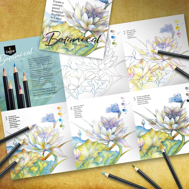 Detalle de Castle Art Supplies Castle Arts: set di 24 matite colorate per disegno in stile botanico