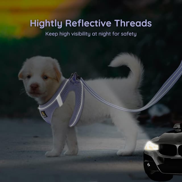 Detalle de BELLA & PAL Dog Harness and Leash Set (Step-in Puppy Harness) in Purple, M