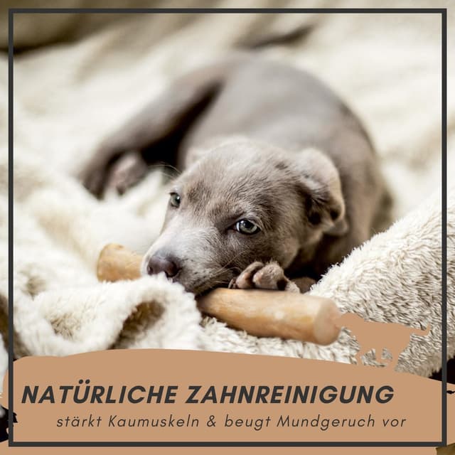 Detalle de Supravit natürlicher Kauknochen aus Kaffeeholz für Welpen XS – Kaustab Kauholz für langanhaltenden Kauspaß