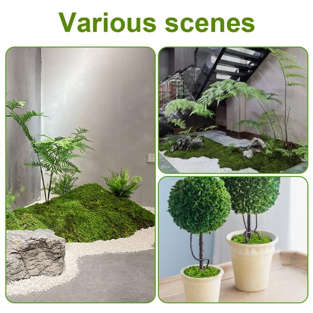 Thumbnail 6 de OFFCUP 50g Muschio stabilizzato decorativo