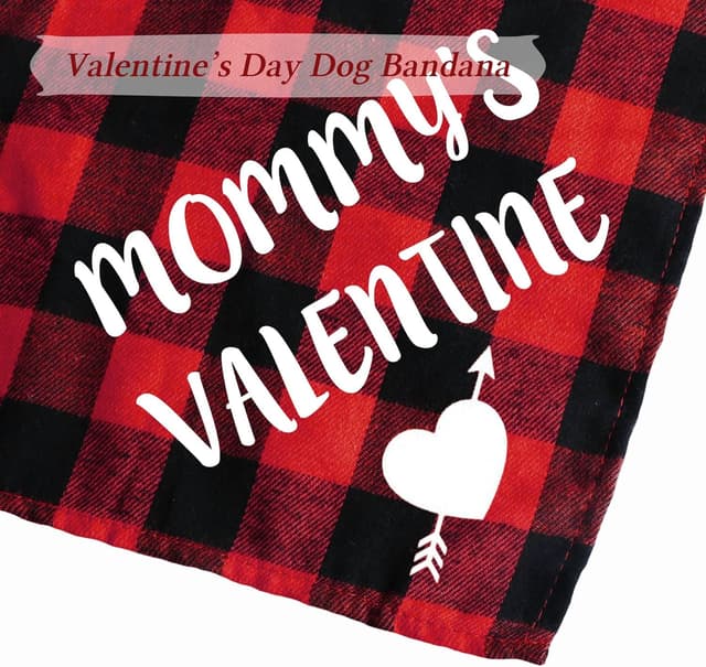 Thumbnail 2 de STMK Valentine’s Day Dog Bandana 30" 🎀