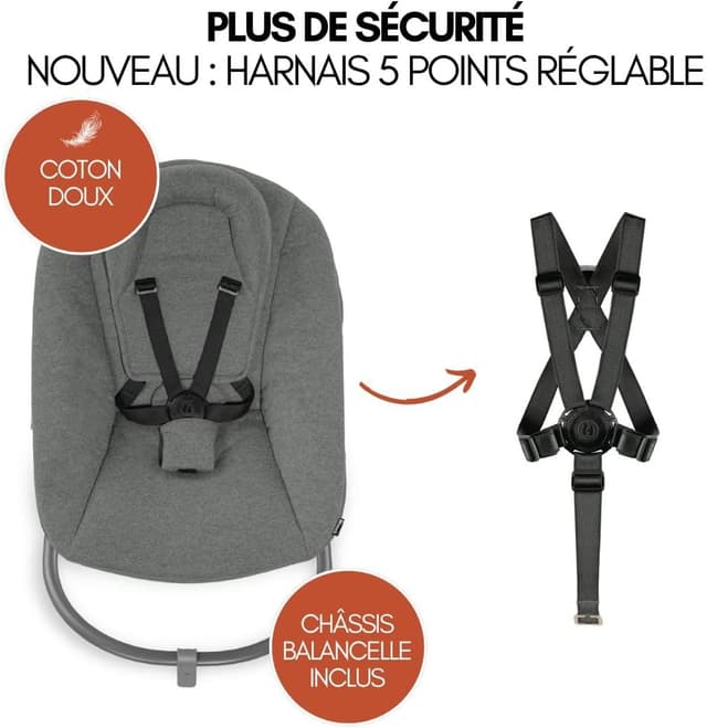 Detalle de hauck Chaise Haute Bébé Alpha Plus Premium 4-en-1 évolutive avec siège amovible et harnais 5 points