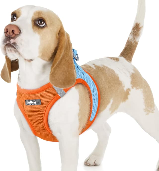 Detalle de rabbitgoo Dog Harness (Small Dog) Step-in Soft Mesh Puppy Harness with Reflective Strips, Blue & Orange, M