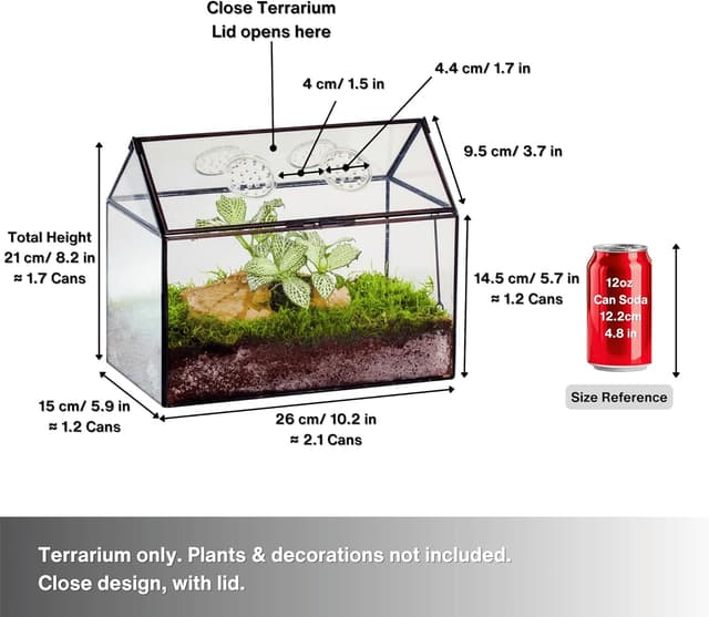 Detalle de NCYP glass terrarium box 26x15x21 cm