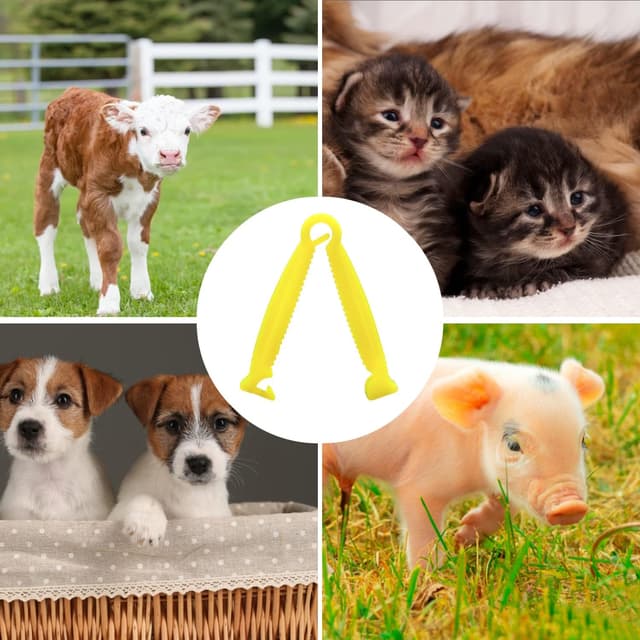 Thumbnail 5 de MABAHON Nabelschnurklemme 30 Stück 🩺