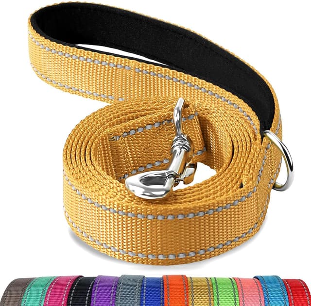 Detalle de Joytale reflective dog leash 5 ft