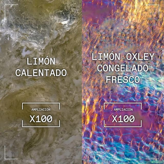 Thumbnail 4 de Oxley Ginebra Premium 🥃 70cl Artesanal, 47% Destilación en Frío