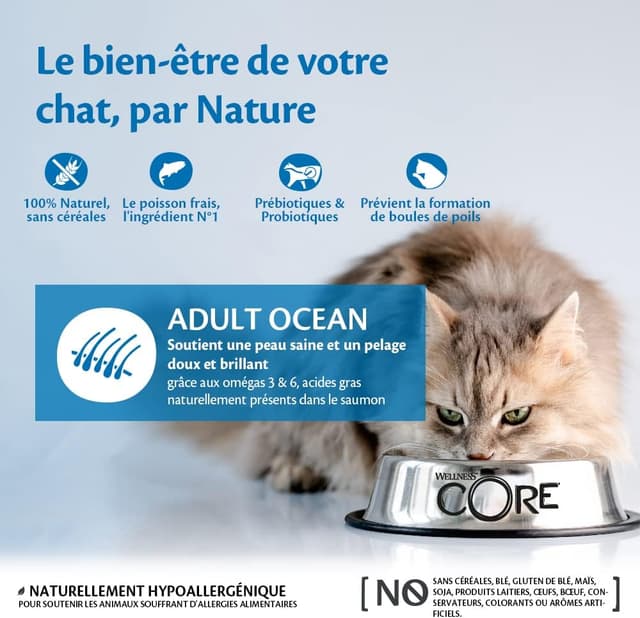 Thumbnail 1 de Wellness CORE OcĂ©an 1,75 kg croquettes pour chat đ