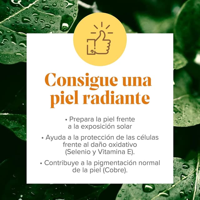 Thumbnail 5 de Arkopharma Arkosol Intensivo 60 Cápsulas ☀️ Bronceado desde adentro