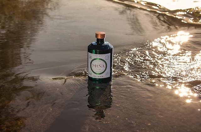 Thumbnail 4 de A Miña Orixe Ginebra Premium 700 ml 🍸