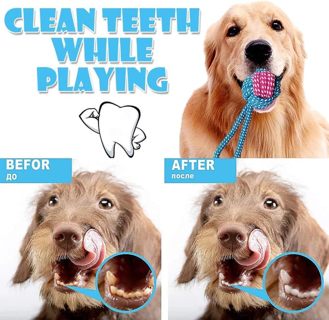 Detalle 2 de Speedy Panther 7 Stück Hundespielzeug Set für Kleine Hunde