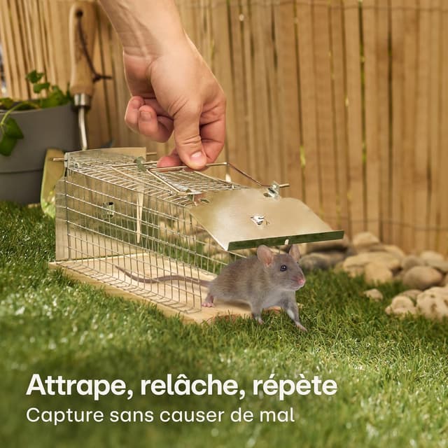 Detalle 2 de Praknu Cage piège à rat vivant 30 cm