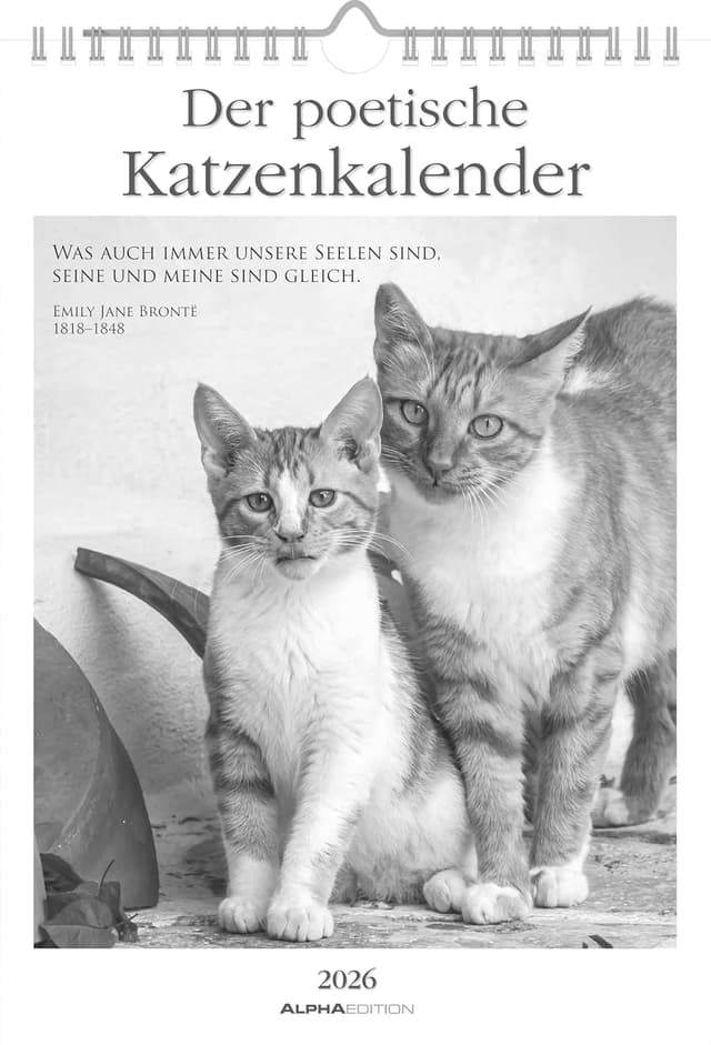 Imagen de Alpha Edition Katzenkalender 2026 Wochenkalender en OfertitasTOP