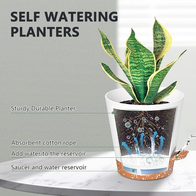 Thumbnail 1 de Idealife Macetas autorriego juego 5 piezas 17,8 cm