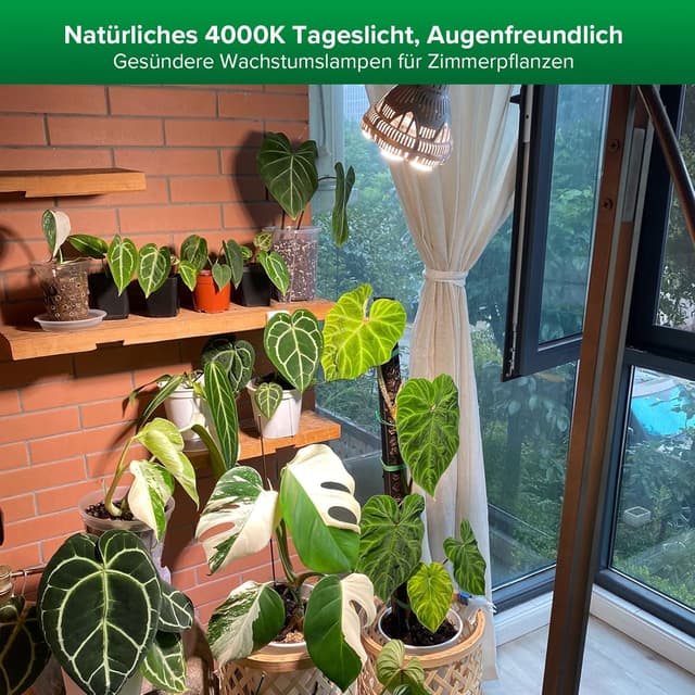 Detalle 1 de SANSI Pflanzenlampe 24 W Vollspektrum LED E27