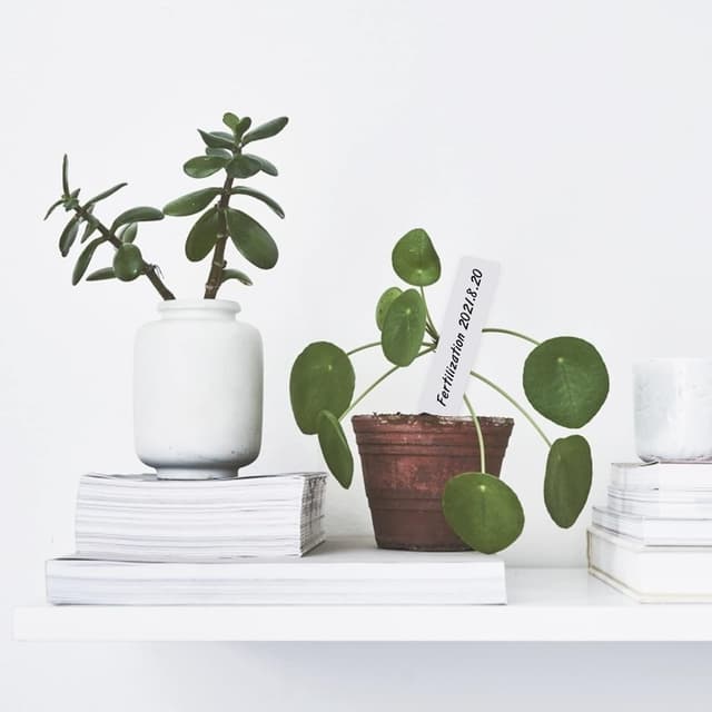 Thumbnail 6 de KINGLAKE Étiquettes plantes 100 pcs 10x2cm