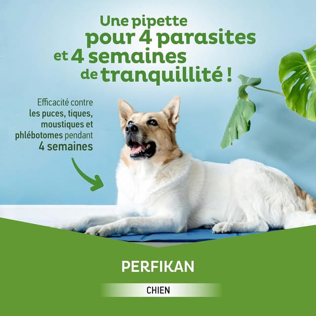 Detalle de Perfikan Très Grands Chiens spot-on 40–60 kg